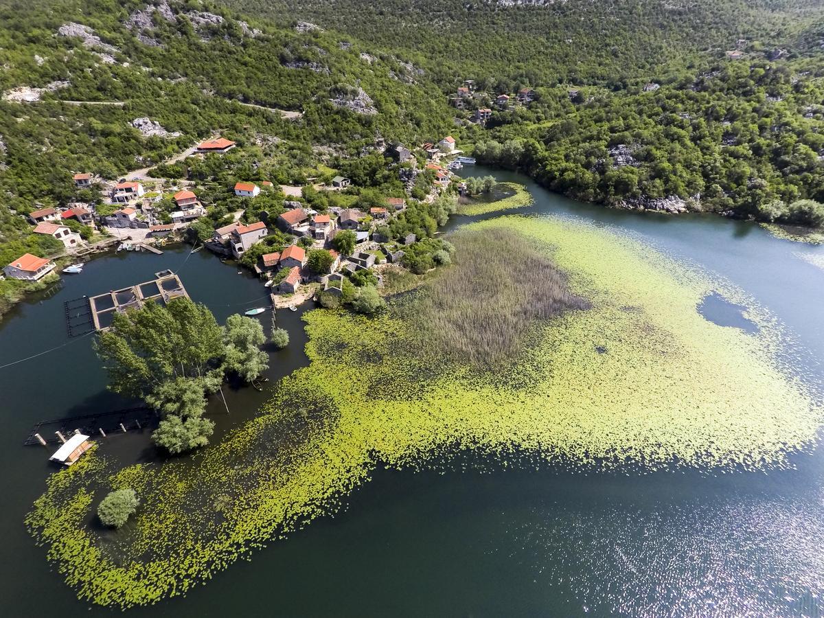 Villa Skadar Lake Karuc Luaran gambar